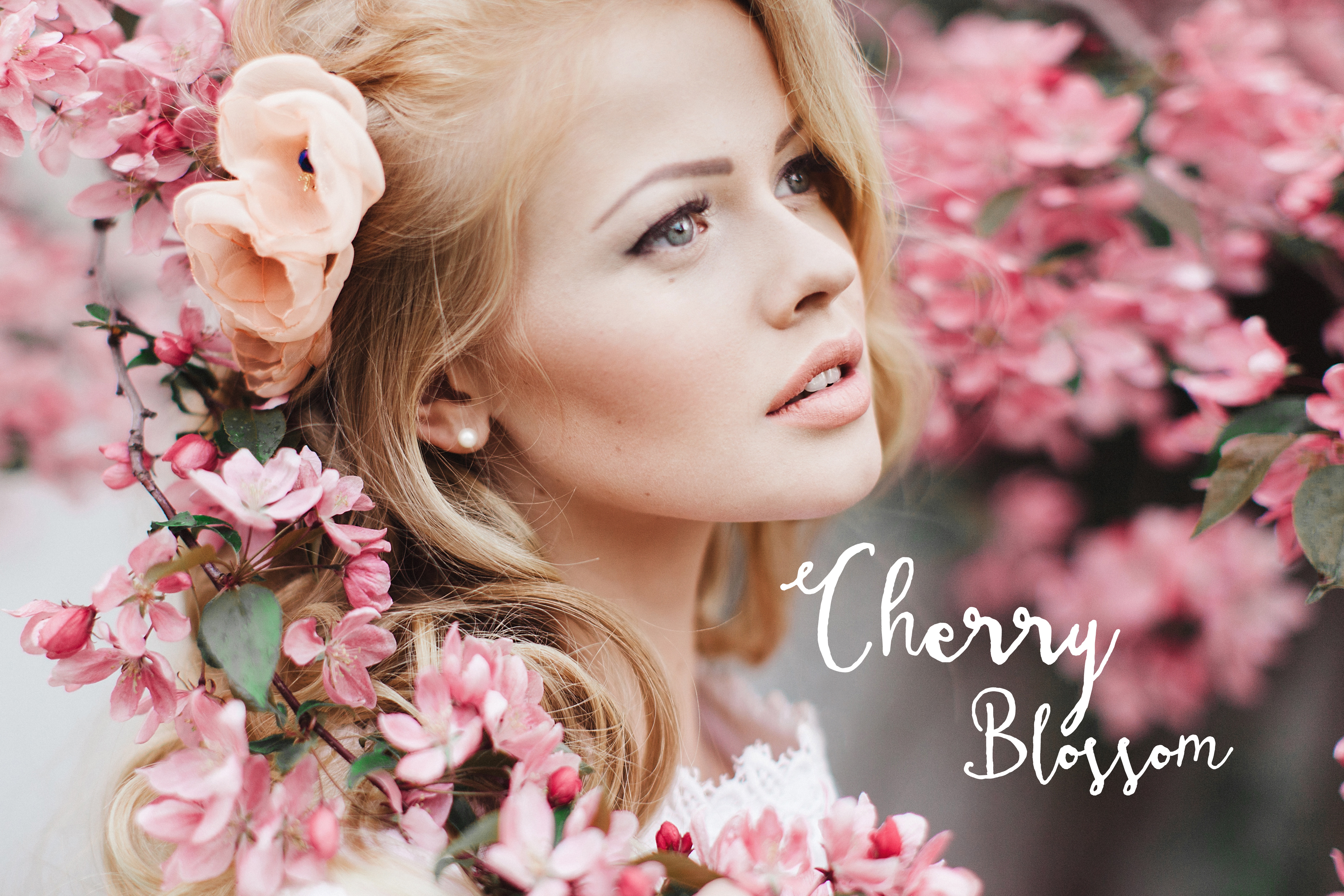 Cherry blossom I